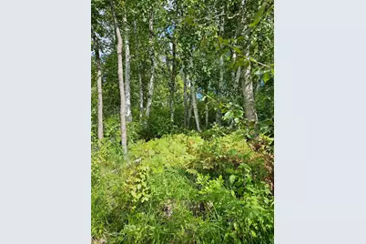 _ __Birch Circle Drive NW, Baudette, MN 56623 - Photo 4