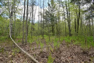 25383 Mansfield Road, Webster, WI 54893 - Photo 12
