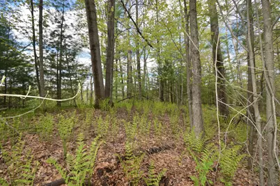 25383 Mansfield Road, Webster, WI 54893 - Photo 10
