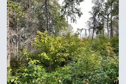 9519 Ccc Trail, Isabella, MN 55607 - Photo 24
