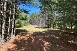 Xxx Ridgewood Rd, Grand Rapids, MN 55744 - Photo 1