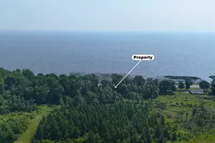 7241 US Hwy 169, Garrison, MN 56450 - Photo 1