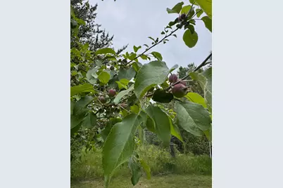 11672 147th Avenue, Menahga, MN 56464 - Photo 52