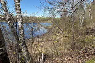 854X W Chub Lake Rd, Carlton, MN 55718 - Photo 2