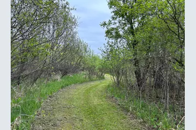 14351 110th Street, Foreston, MN 56330 - Photo 34