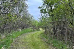 14351 110th St, Foreston, MN 56330 - Photo 34