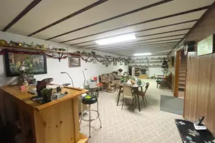 115 W Lincoln St, Springfield, MN 56087 - Photo 26