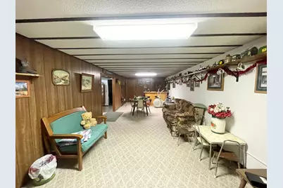 115 W Lincoln Street, Springfield, MN 56087 - Photo 24