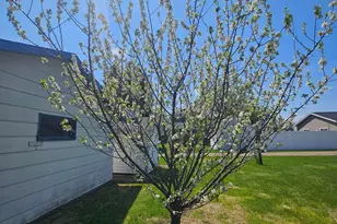 127 S State St, Warren, MN 56762 - Photo 20