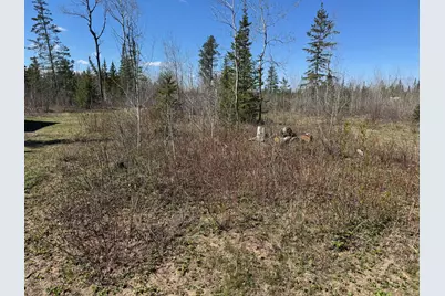 Tbd Thompson Forest Road, Roseau, MN 56751 - Photo 10