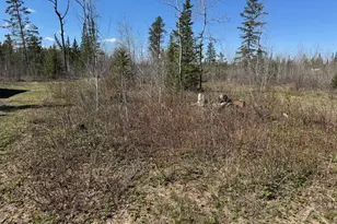Tbd Thompson Forest Rd, Roseau, MN 56751 - Photo 10