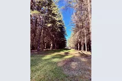 2640 18th Street NW, Baudette, MN 56623 - Photo 16