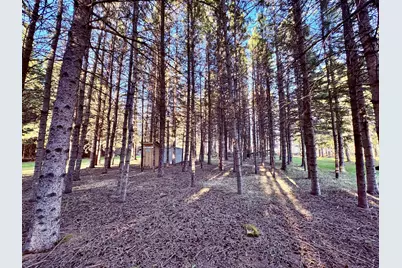 2640 18th Street NW, Baudette, MN 56623 - Photo 12