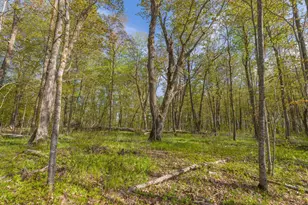 17549 295th Ave, Isle, MN 56342 - Photo 20