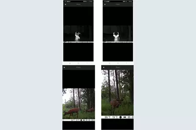 17549 295th Avenue, Isle, MN 56342 - Photo 48