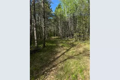 Tbd County Road 3, Merrifield, MN 56465 - Photo 10