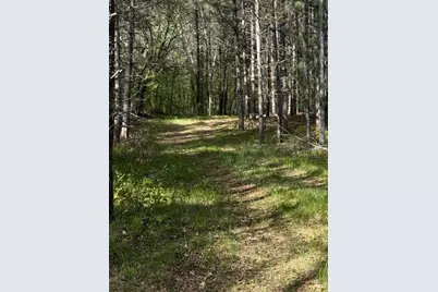 Tbd County Road 3, Merrifield, MN 56465 - Photo 20