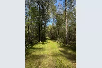 Tbd County Road 3, Merrifield, MN 56465 - Photo 12