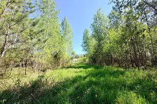 3805 Fraser Rd, Iron, MN 55751 - Photo 22
