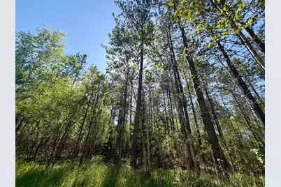 3805 Fraser Road, Iron, MN 55751 - Photo 14
