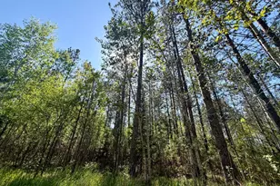 3805 Fraser Rd, Iron, MN 55751 - Photo 14