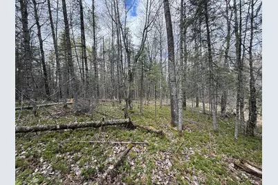 7355 Melrude Rd. W, Cotton, MN 55724 - Photo 54