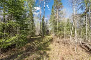 4003 Hwy 5, Hibbing, MN 55746 - Photo 58