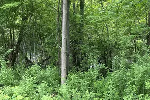 11344 Elk Ln NW, Elk River, MN 55330 - Photo 20