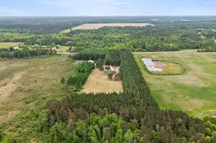 1358 County Road 17 SW, Pequot Lakes, MN 56472 - Photo 46