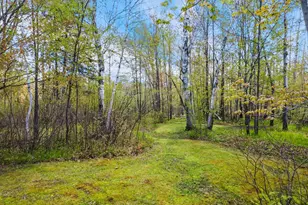 39818 257th Ave, McGregor, MN 55760 - Photo 50