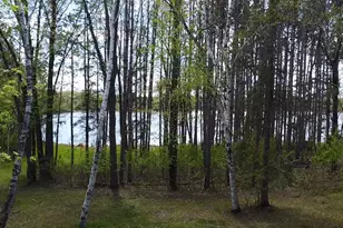 40189 315th Ln, Aitkin, MN 56431 - Photo 48