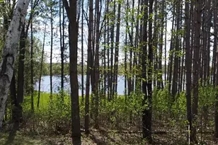 40189 315th Ln, Aitkin, MN 56431 - Photo 6