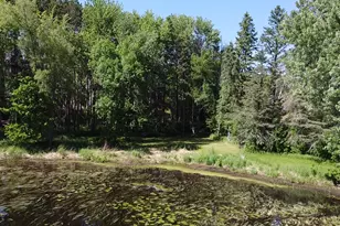 40189 315th Ln, Aitkin, MN 56431 - Photo 56