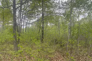 44091 Duxbury Rd, Sandstone, MN 55072 - Photo 38