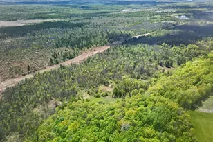 12644 State Hwy 70, Pine City, MN 55063 - Photo 52