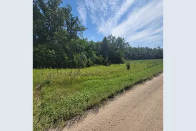 Tbd Jeff Lake Road, Richville, MN 56576 - Photo 6