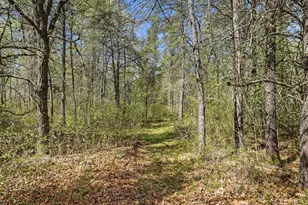 15077 Skog Rd, Grantsburg, WI 54840 - Photo 24