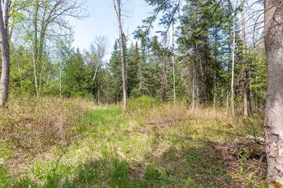 Tbd Stephani Road NW, Puposky, MN 56667 - Photo 4