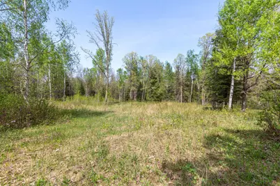 Tbd Stephani Road NW, Puposky, MN 56667 - Photo 6