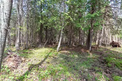 Tbd Stephani Road NW, Puposky, MN 56667 - Photo 8