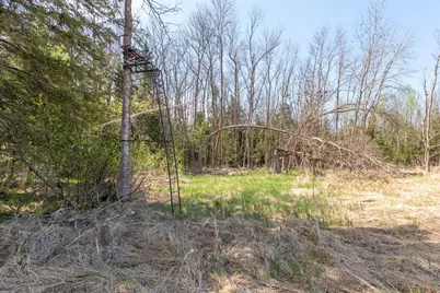 Tbd Stephani Road NW, Puposky, MN 56667 - Photo 16
