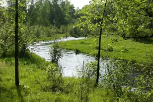 10005 Rice Rd, Brook Park, MN 55007 - Photo 1