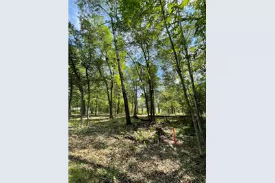 Tbd Wedgewood Road NW, Walker, MN 56484 - Photo 2