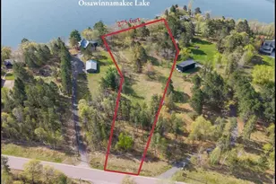 9235 Ossawinnamakee Rd, Pequot Lakes, MN 56472 - Photo 1