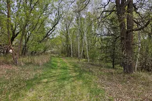 41721 County 2, Bagley, MN 56621 - Photo 28