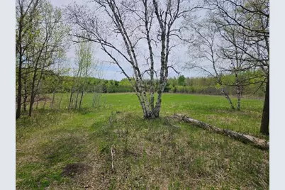 41721 County 2, Bagley, MN 56621 - Photo 30