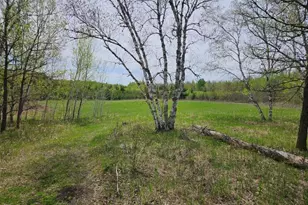 41721 County 2, Bagley, MN 56621 - Photo 30