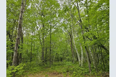 25227 Kruger Road, Webster, WI 54893 - Photo 6