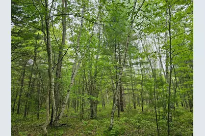 25227 Kruger Road, Webster, WI 54893 - Photo 10
