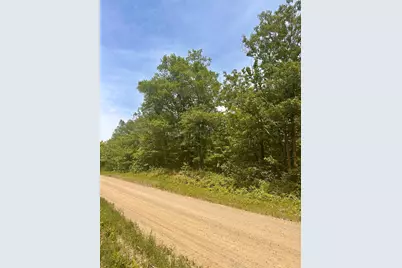 Tbd County Road 157 NE, Remer, MN 56672 - Photo 10